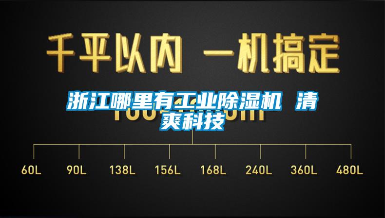 欧美黄色电影在线播放 浙江哪里有工业除湿机 清爽科技