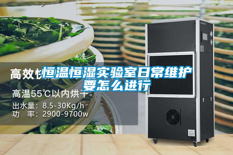 欧美黄色电影在线播放 恒温恒湿实验室日常维护要怎么进行