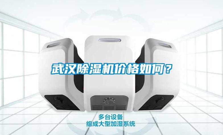 欧美成色手机在线观看 武汉除湿机价格如何？