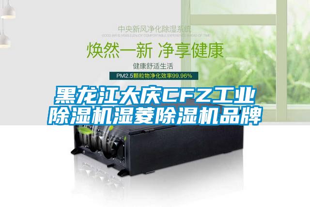 欧美黄色电影在线播放 黑龙江大庆CFZ工业除湿机湿菱除湿机品牌