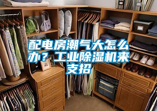 欧美黄色电影在线播放 配电房潮气大怎么办？工业除湿机来支招