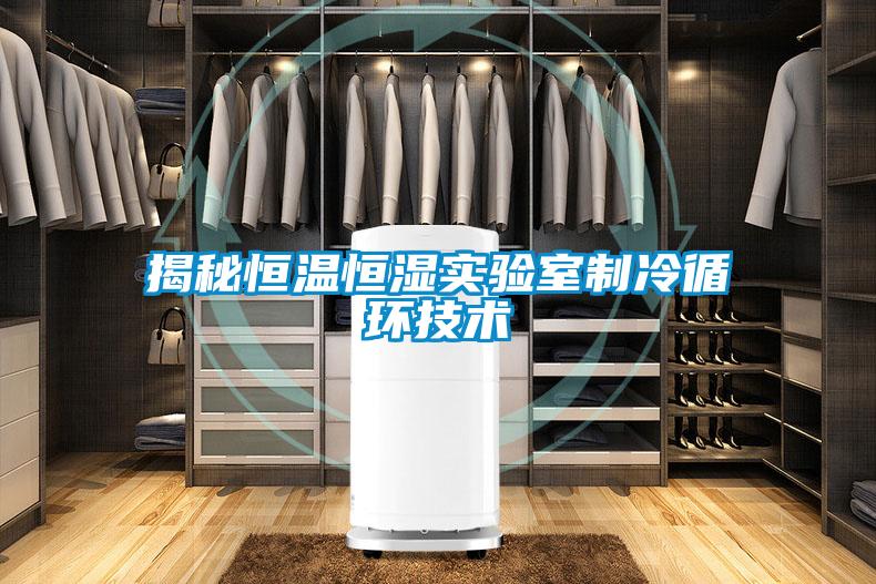 欧美成色手机在线观看 揭秘恒温恒湿实验室制冷循环技术