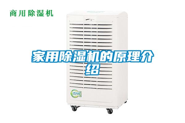 欧美成色手机在线观看 家用除湿机的原理介绍