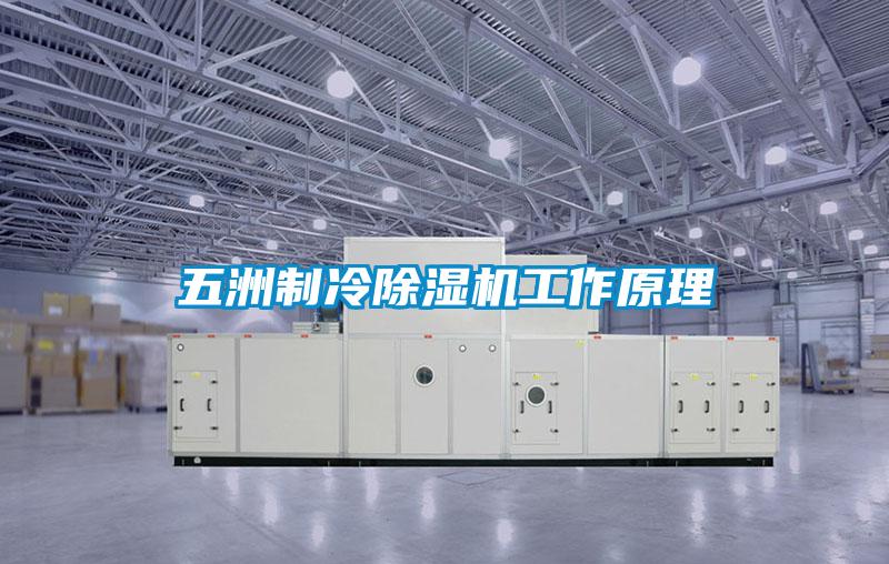 欧美黄色电影在线播放 五洲制冷除湿机工作原理