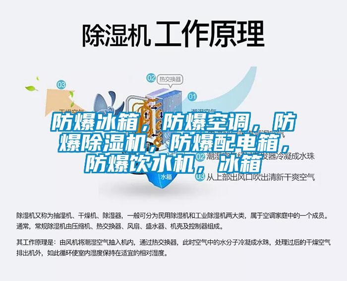 欧美黄色性爱视频网站 防爆冰箱，防爆空调，防爆除湿机，防爆配电箱，防爆饮水机，冰箱