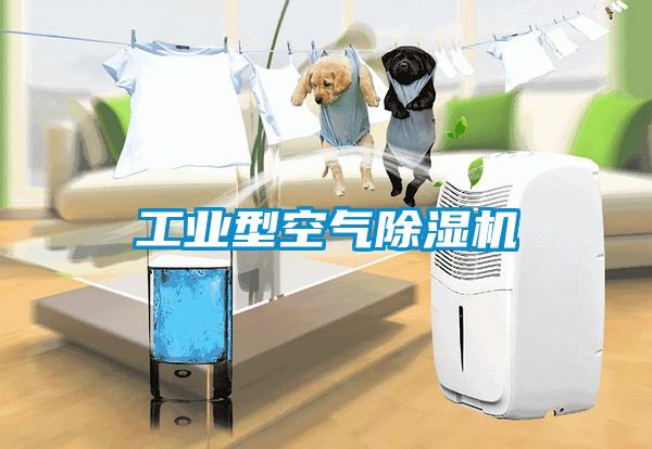 欧美黄色电影在线播放 工业型空气除湿机