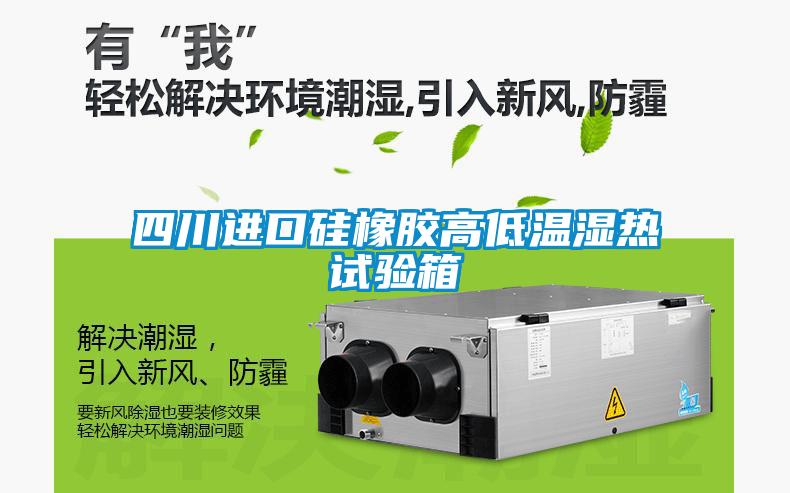 欧美成色手机在线观看 四川进口硅橡胶高低温湿热试验箱