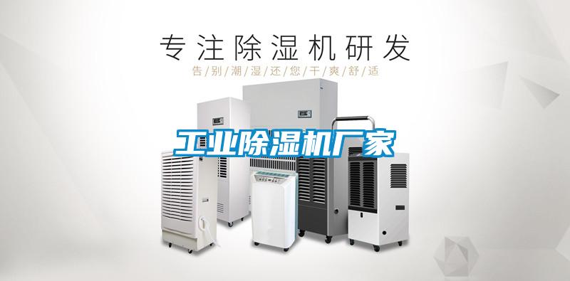 欧美成色手机在线观看 工业除湿机厂家