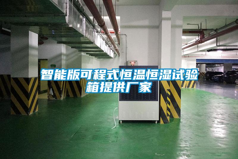 欧美黄色电影在线播放 智能版可程式恒温恒湿试验箱提供厂家