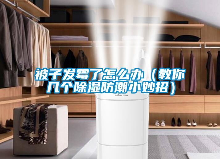 欧美黄色性爱视频网站 被子发霉了怎么办（教你几个除湿防潮小妙招）
