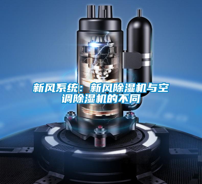 欧美黄色电影在线播放 新风系统：新风除湿机与空调除湿机的不同