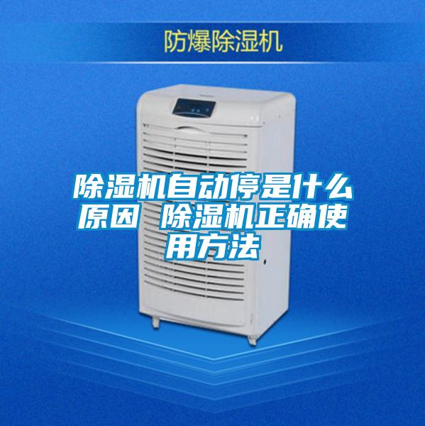 欧美黄色性爱视频网站 除湿机自动停是什么原因 除湿机正确使用方法
