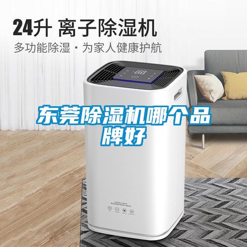 欧美黄色性爱视频网站 东莞除湿机哪个品牌好