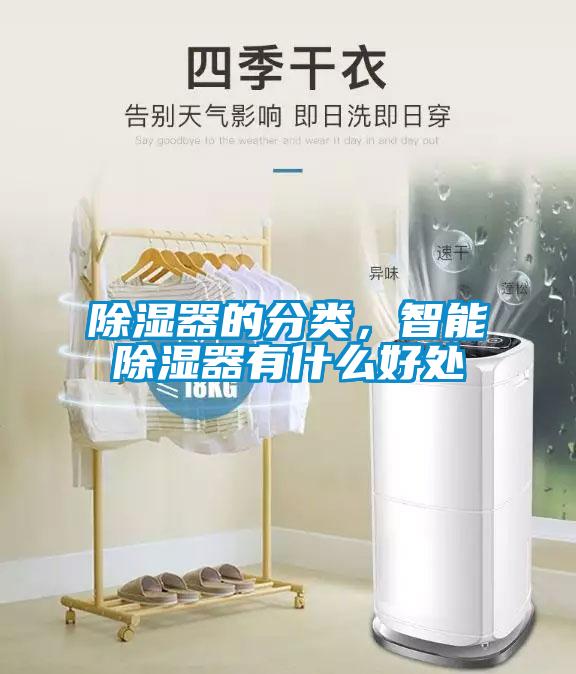 欧美黄色电影在线播放 除湿器的分类，智能除湿器有什么好处