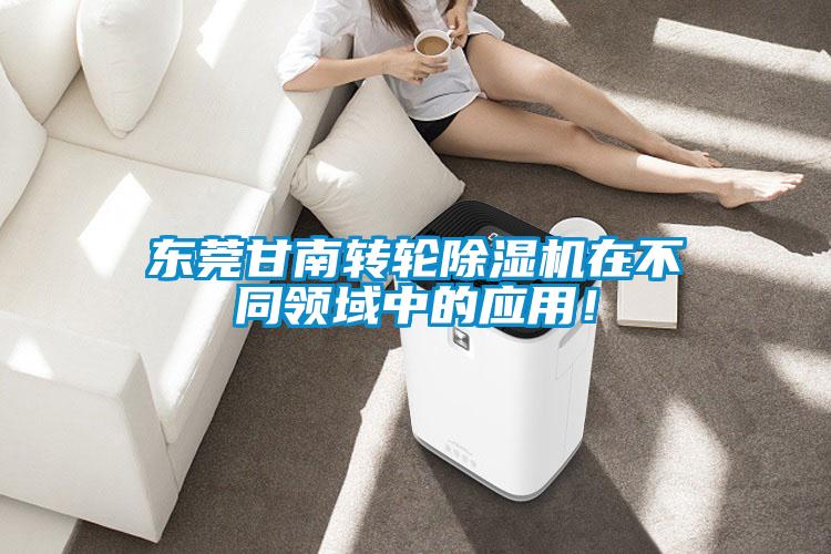 欧美黄色电影在线播放 东莞甘南转轮除湿机在不同领域中的应用！