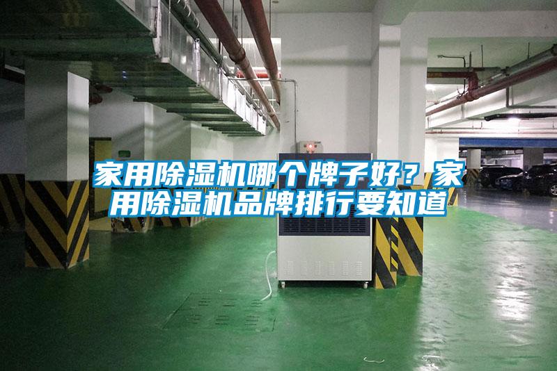 欧美成色手机在线观看 家用除湿机哪个牌子好？家用除湿机品牌排行要知道