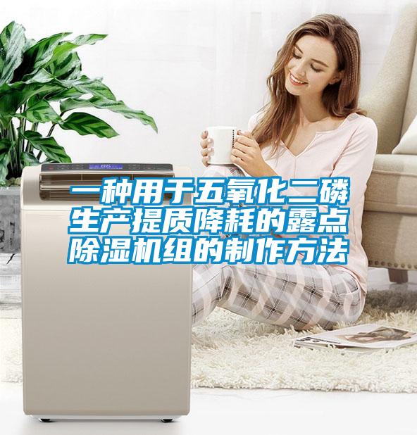 欧美成色手机在线观看 一种用于五氧化二磷生产提质降耗的露点除湿机组的制作方法