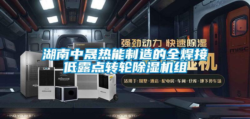 欧美黄色性爱视频网站 湖南中晟热能制造的全焊接低露点转轮除湿机组