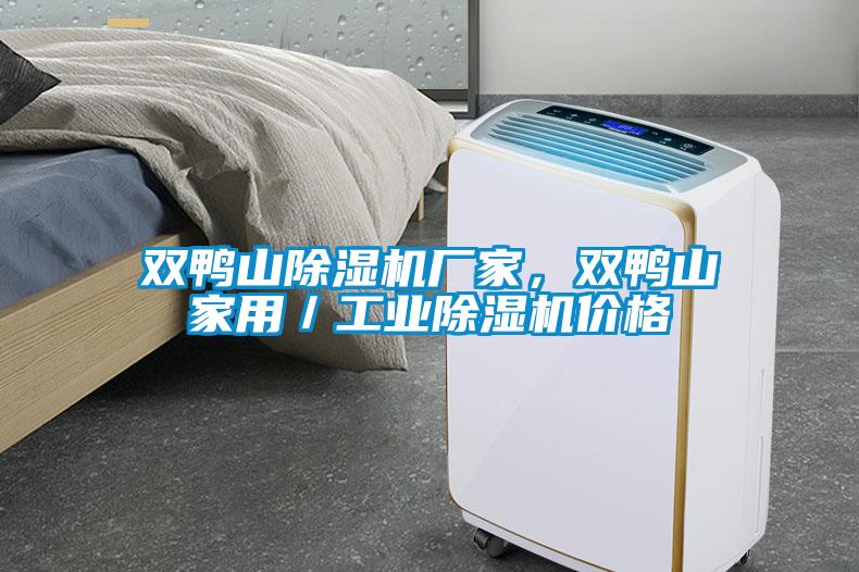 欧美黄色电影在线播放 双鸭山除湿机厂家，双鸭山家用／工业除湿机价格