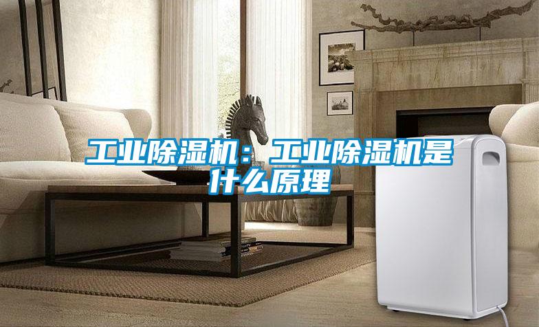 欧美成色手机在线观看 工业除湿机：工业除湿机是什么原理