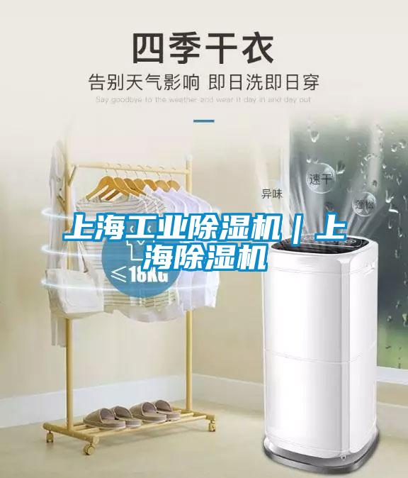 欧美黄色性爱视频网站 上海工业除湿机｜上海除湿机