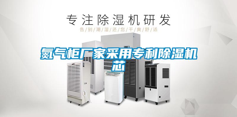 欧美黄色性爱视频网站 氮气柜厂家采用专利除湿机芯