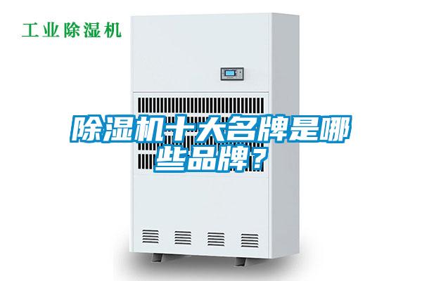 欧美黄色性爱视频网站 除湿机十大名牌是哪些品牌？