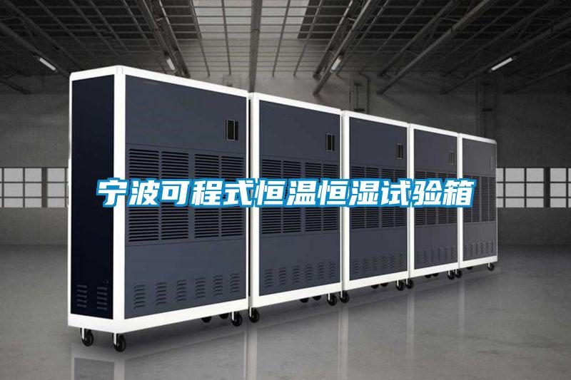欧美黄色电影在线播放 宁波可程式恒温恒湿试验箱