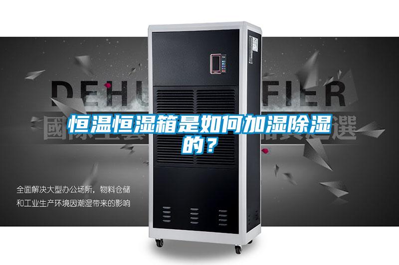 欧美黄色电影在线播放 恒温恒湿箱是如何加湿除湿的？