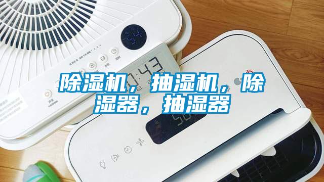 欧美黄色电影在线播放 除湿机，抽湿机，除湿器，抽湿器