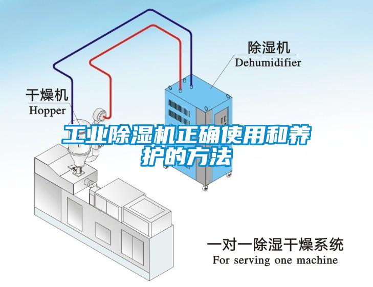 欧美成色手机在线观看 工业除湿机正确使用和养护的方法