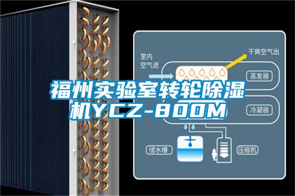 欧美黄色性爱视频网站 福州实验室转轮除湿机YCZ-800M