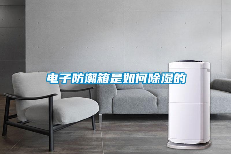 欧美黄色电影在线播放 电子防潮箱是如何除湿的