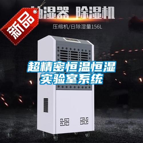 欧美黄色性爱视频网站 超精密恒温恒湿实验室系统