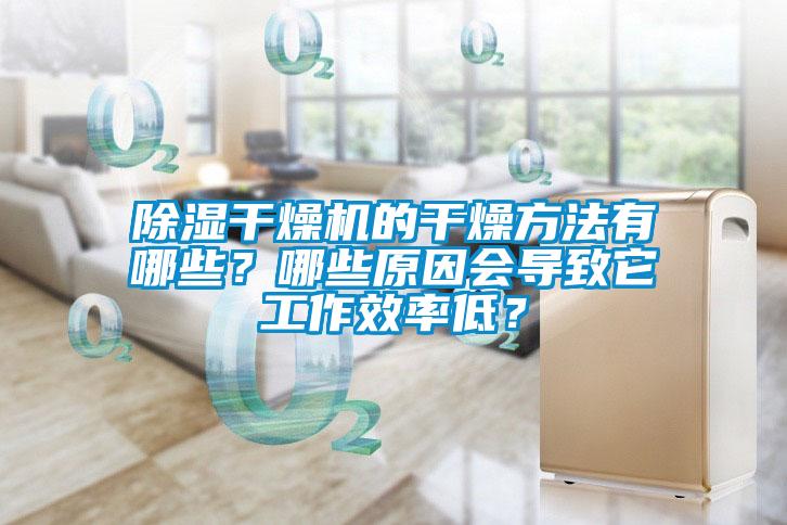 欧美成色手机在线观看 除湿干燥机的干燥方法有哪些？哪些原因会导致它工作效率低？