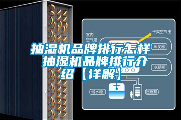 欧美成色手机在线观看 抽湿机品牌排行怎样 抽湿机品牌排行介绍【详解】