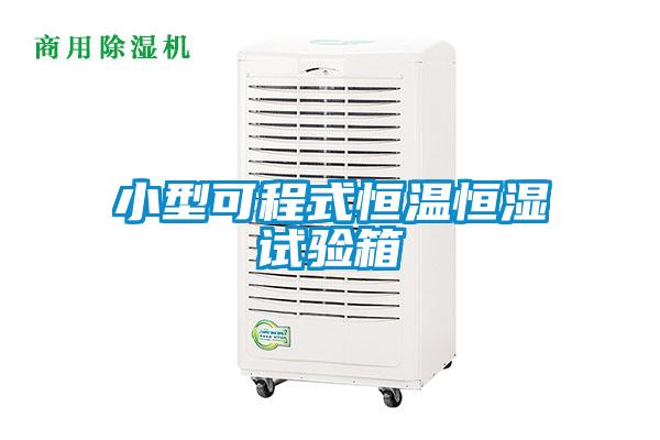 欧美黄色电影在线播放 小型可程式恒温恒湿试验箱