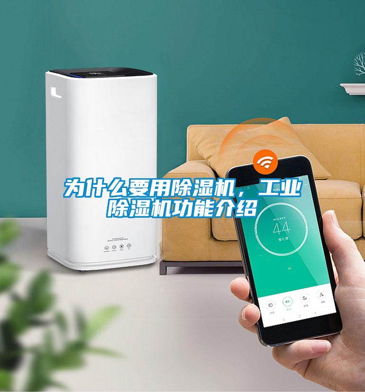 欧美黄色性爱视频网站 为什么要用除湿机，工业除湿机功能介绍