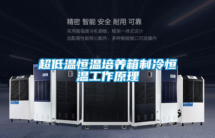 欧美黄色电影在线播放 超低温恒温培养箱制冷恒温工作原理