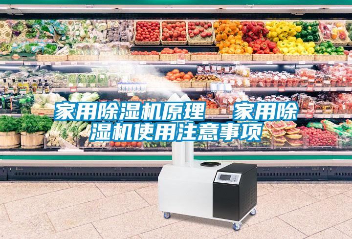 欧美成色手机在线观看 家用除湿机原理  家用除湿机使用注意事项
