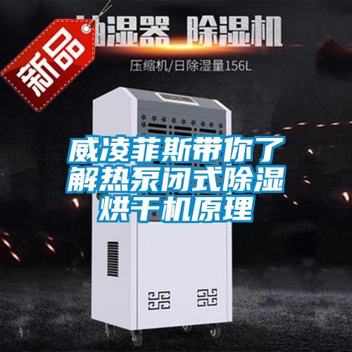 欧美成色手机在线观看 威凌菲斯带你了解热泵闭式除湿烘干机原理