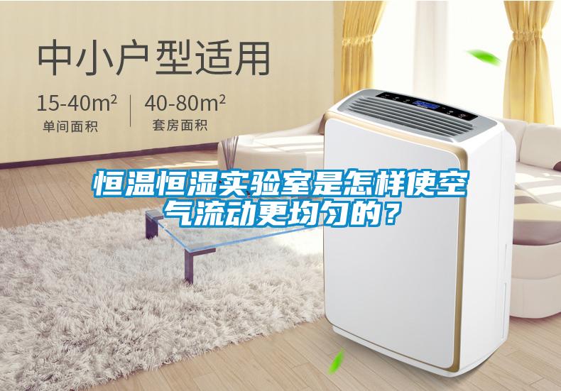 欧美黄色电影在线播放 恒温恒湿实验室是怎样使空气流动更均匀的？
