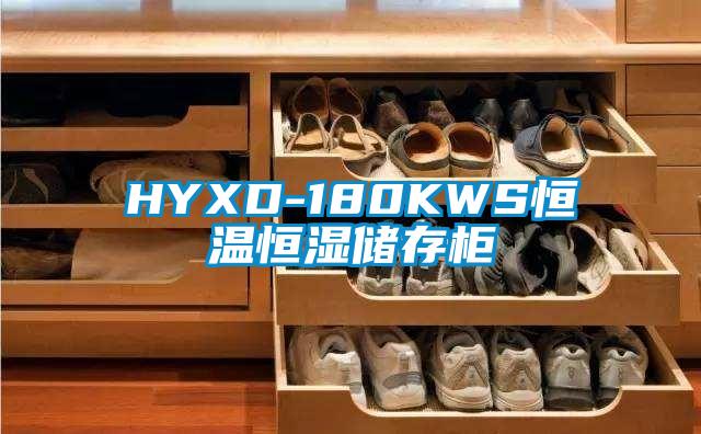 欧美成色手机在线观看 HYXD-180KWS恒温恒湿储存柜