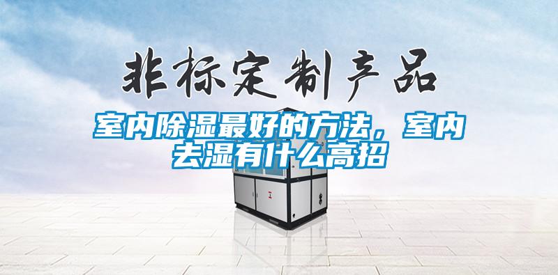 欧美成色手机在线观看 室内除湿最好的方法，室内去湿有什么高招