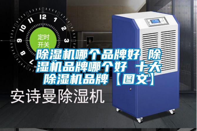 欧美黄色电影在线播放 除湿机哪个品牌好 除湿机品牌哪个好 十大除湿机品牌【图文】