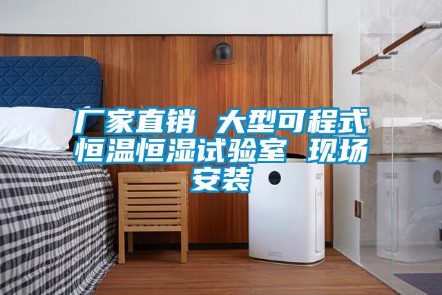 欧美成色手机在线观看 厂家直销 大型可程式恒温恒湿试验室 现场安装