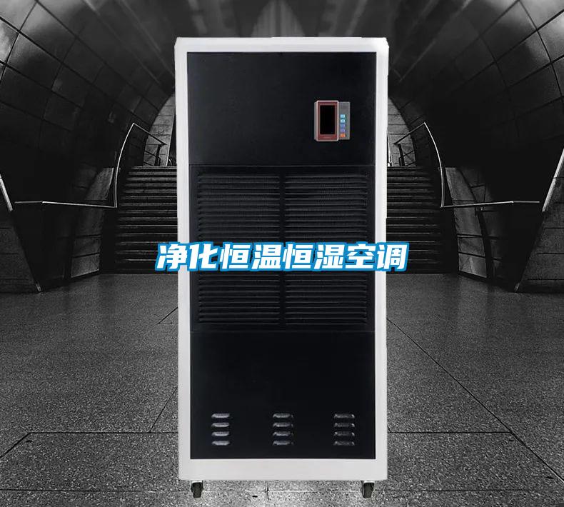 欧美黄色性爱视频网站 净化恒温恒湿空调