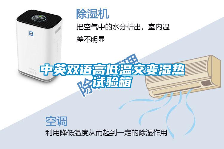 欧美黄色电影在线播放 中英双语高低温交变湿热试验箱