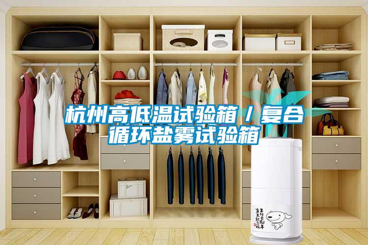 欧美黄色性爱视频网站 杭州高低温试验箱／复合循环盐雾试验箱