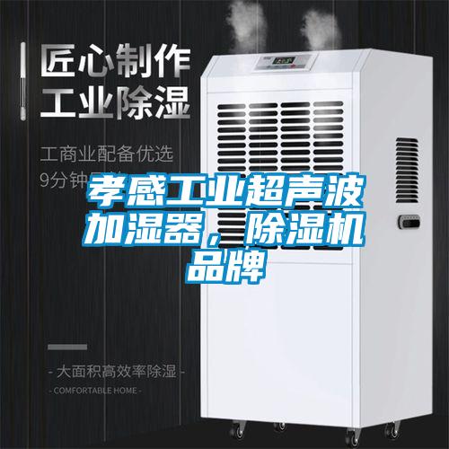 欧美黄色电影在线播放 孝感工业超声波加湿器，除湿机品牌